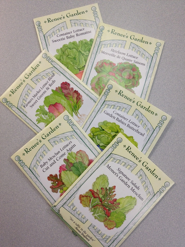 Seeds for a variety of lettuces. (photo by Jennifer Baumbach)