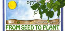 From Seed to Plant for Under the Solano Sun Blog