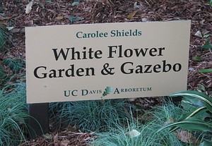UC Davis Arboretum White Flower Garden sign. (photo by Marime Burton)