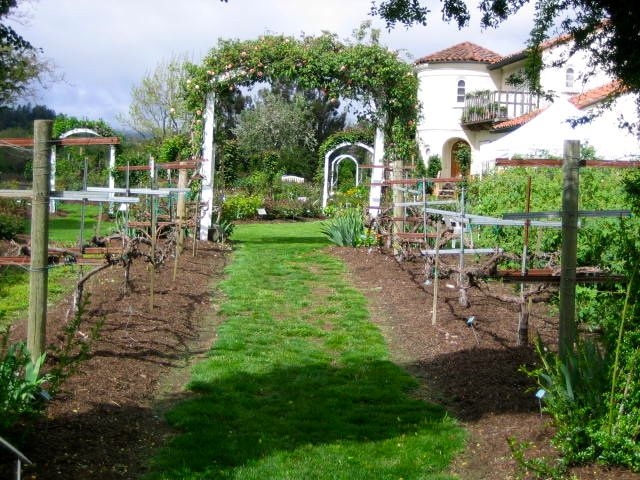 path view of garden villa