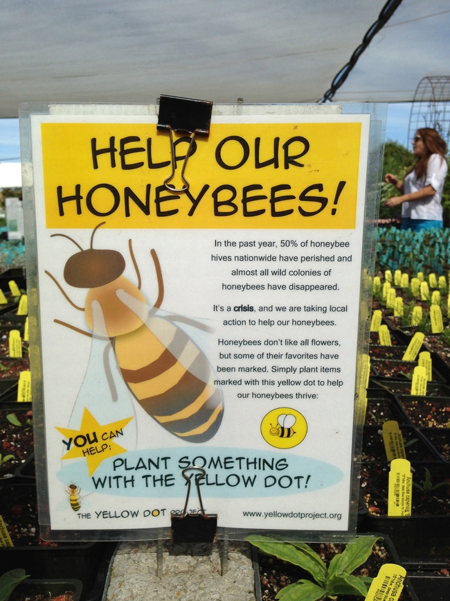 Help Our Honeybees. (photo by Marian Chmieleski)