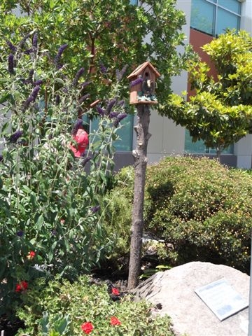 Bird house on a branch (pole).