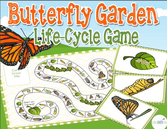 butterfly garden life cycle