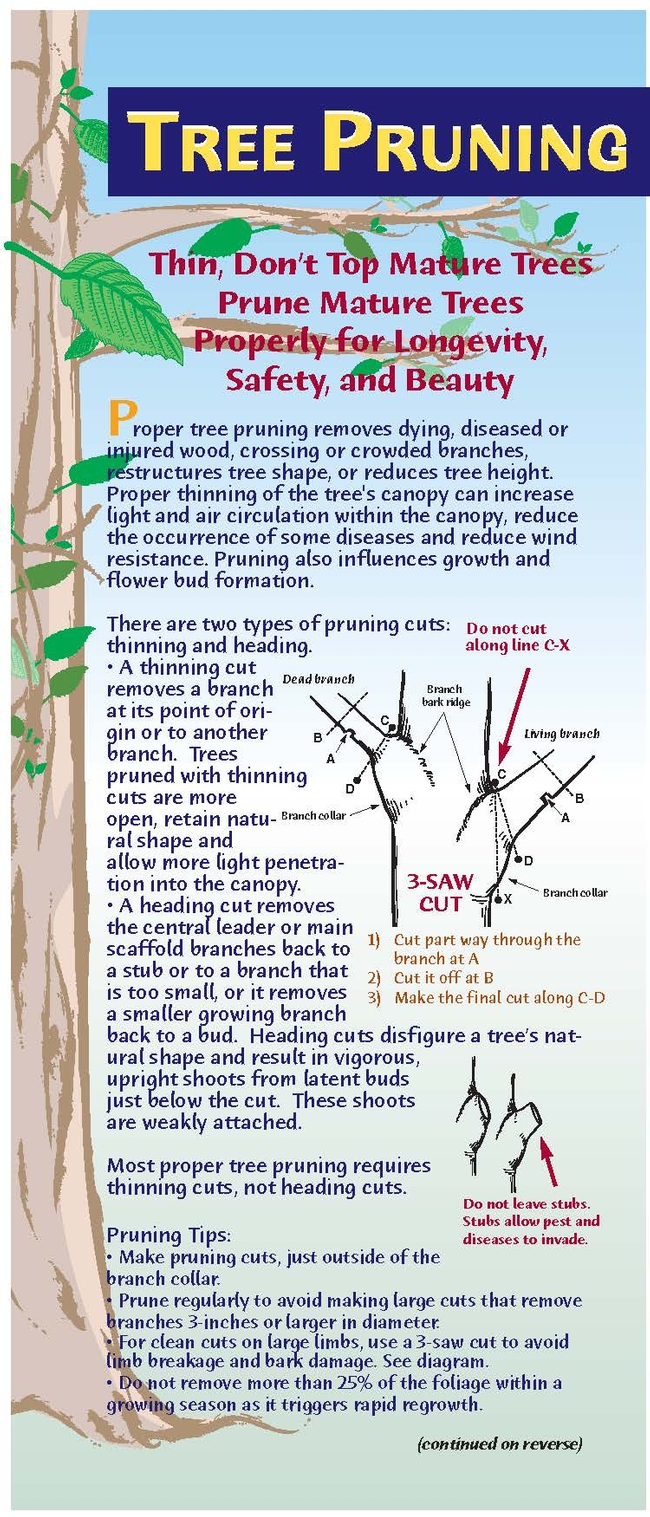 tree pruning Page 1