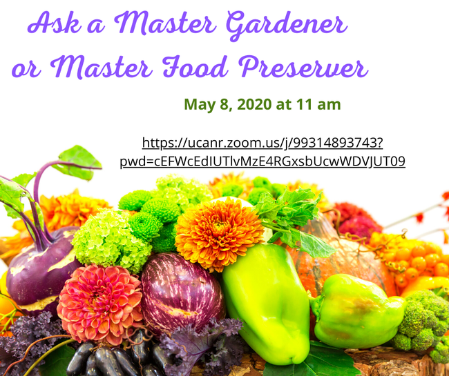 Ask a Master Gardener or Master Food Preserver
