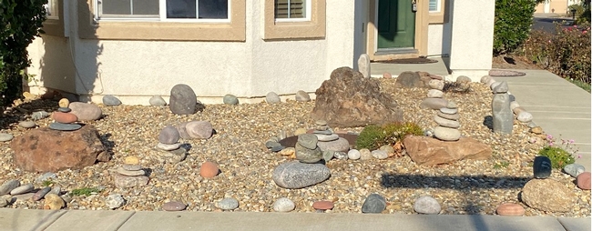 Front door rock garden (photo by David Bellamy)