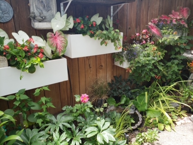 PVC planters mounted on fence.