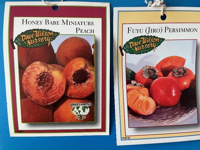 Fruit tree labels.