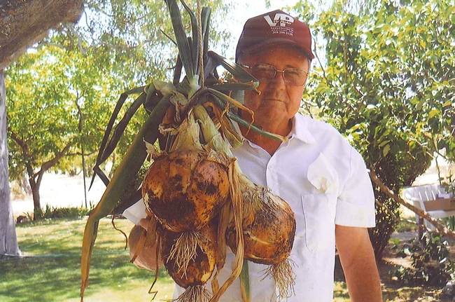 Evon and his onions. (photos by Sharon Rico)