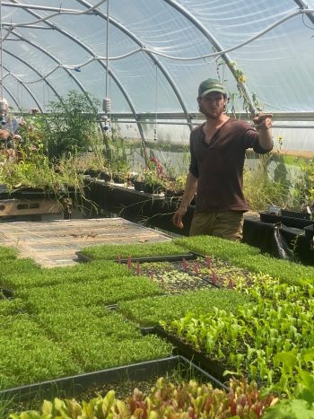 A young farmer stands inside a greenhouse between tables full of seedlings