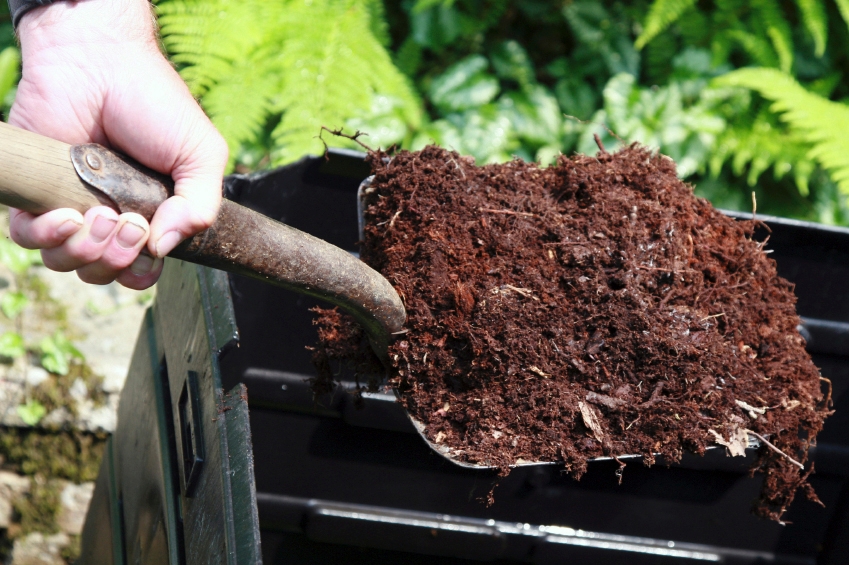 Add compost to your soil sustainable gardening