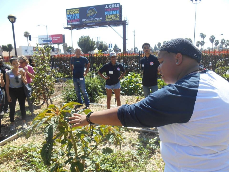 Ca Youth Share Experiences With Urban Agriculture Urban