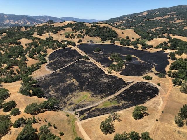Coverage of controlled burn work by Cal Fire at Hopland REC (Photo courtesy of John Bailey)