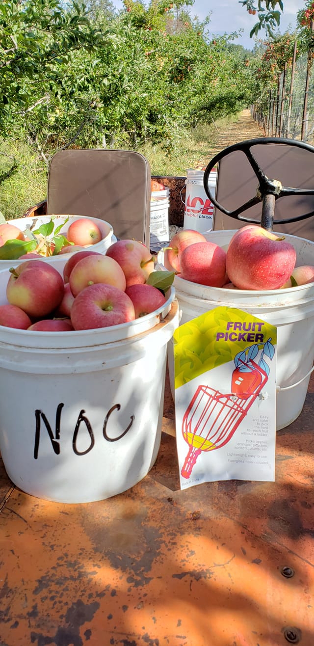 Apples U-Pick 1/2 Bushel Bag