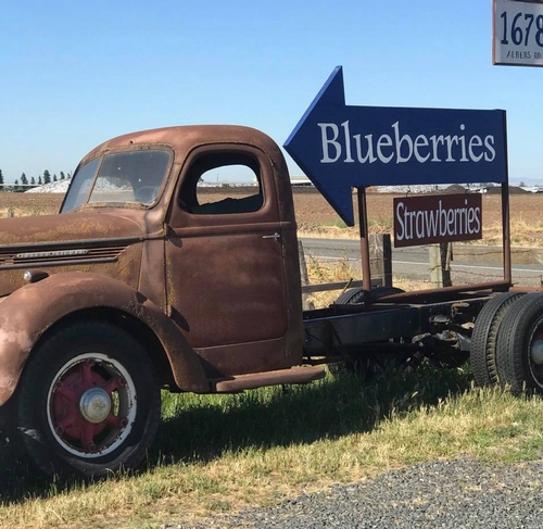 Blueberry arrow sign on old truch