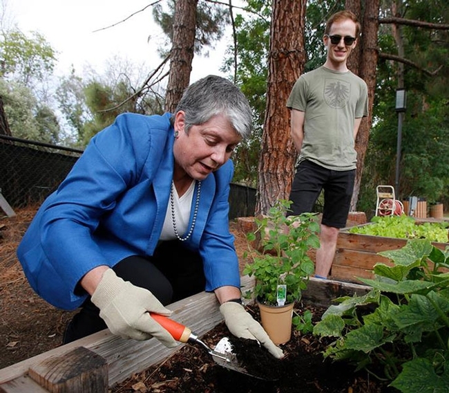 La Presidenta Napolitano trabaja en el huerto administrado por estudiantes de UCLA ante la mirada del estudiante Ian Davies.