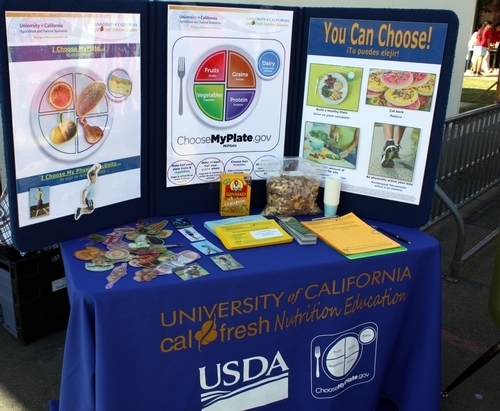 CalFresh de la UC muestra ejemplos de alimentos saludables en los platos.