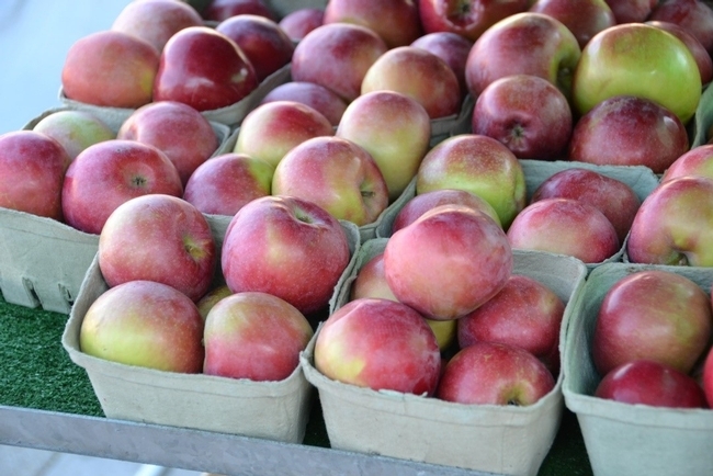El otoño marca el auge de la temporada de manzanas en California. Con una gran abundancia de manzanas disponibles a un buen precio, es el momento perfecto para preservarlas.