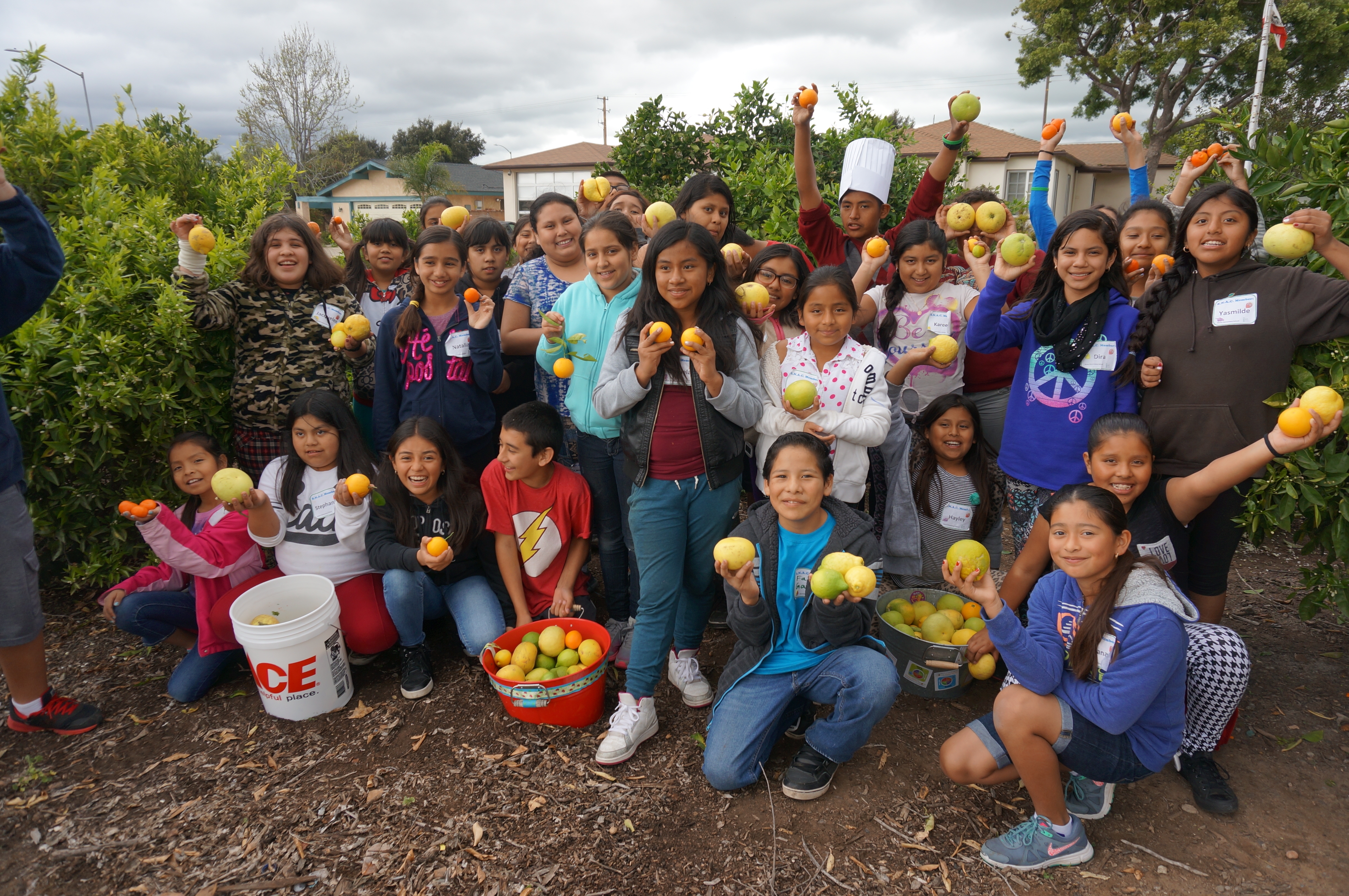 Los niños en la cocina - Blog de Alimentos - ANR Blogs