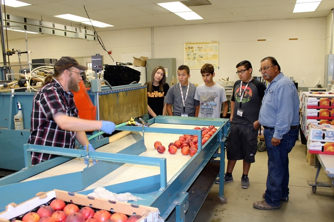 Los estudiantes aprenden acerca de la investigación post cosecha en el Centro de Investigación Agrícola y Extensión de Kearney.