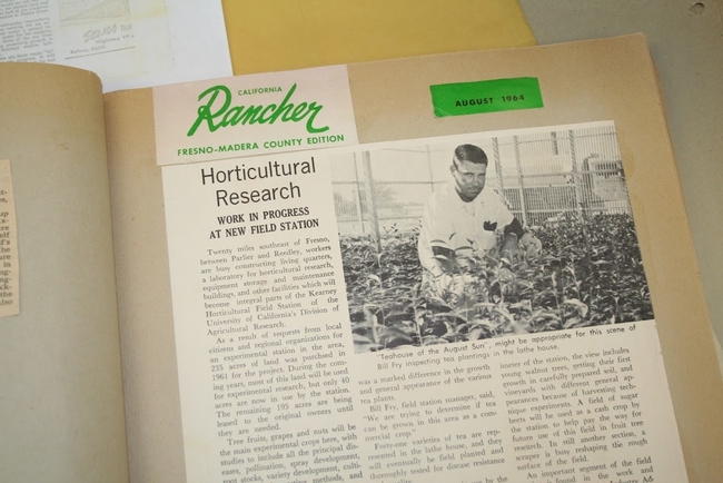 Un recorte de periódico de 1964 sobre el proyecto de té en Kearney.