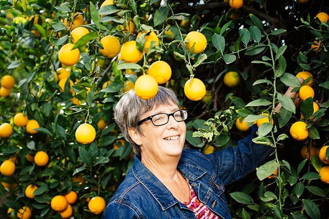 Tracy Kahn, investigadora de la División de Agricultura y Recursos Naturales de la UC, es curadora de la colección más grande de variedades de cítricos del mundo.