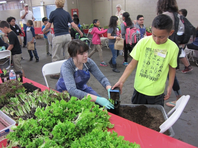 Varios voluntarios disfrutan asistiendo a cada estudiante a obtener su semillero para un buen inicio.