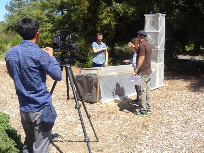 Esta semana, el Centro de Demostración del Laboratorio de Innovación Hortícola recibió la visita de un equipo de medios de comunicación de Tajikistan, a quien se ve aquí hablando con Angelos Deltsidis (centro), sobre el uso de secadoras solares para deshidratar chabacanos en Tajikistan. Fotografía por Khush Bakht Aalia para el Laboratorio de Innovación Hortícola.