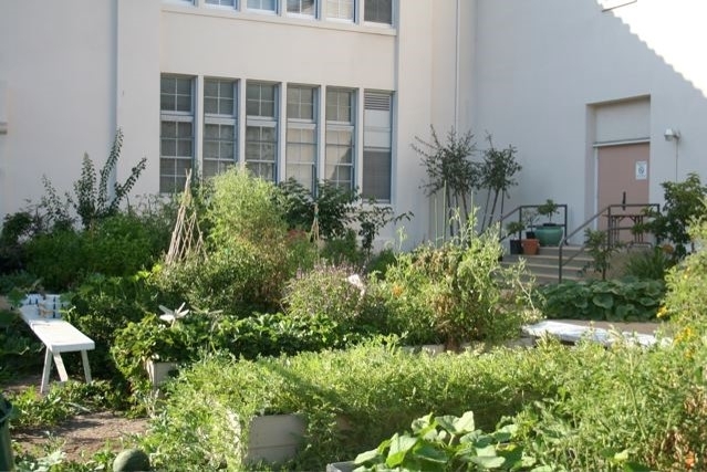 DESPUÉS: El Centro Carthay ahora utiliza su próspero huerto para impartir lecciones prácticas sobre jardinería y al aire libre. (Fotografía Louisa Cárdenas)