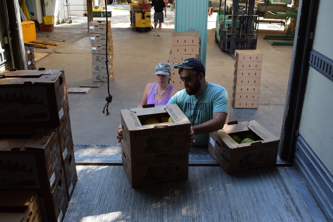 Cajas de melones han sido cargadas en un camión de Capay Valley Farm Shop con destino a compradores del área de la Bahía.