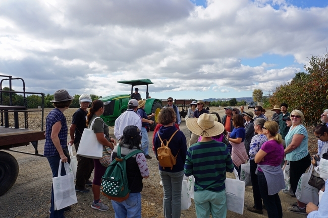 Los visitantes reciben información antes de entrar al área de degustación y cosecha de persimos.