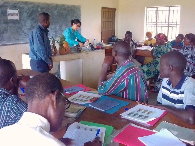 Karin Albornoz dirige un taller sobre el manejo post cosecha de la piña en Uganda.