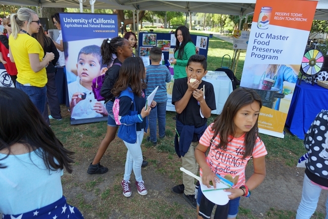 El programa ANR de UC colocó un puesto que atendió junto con personal del Programa Maestro para Preservar Alimentos de UC durante el día de campo del programa “Un millón de comidas de verano” para los jóvenes de Sacramento.