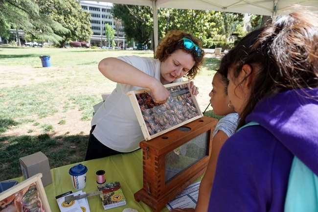 La especialista en apicultura Elina Niño, de Extensión Cooperativa de UC, comparte información con los estudiantes sobre la vida de las abejas durante el día de campo.