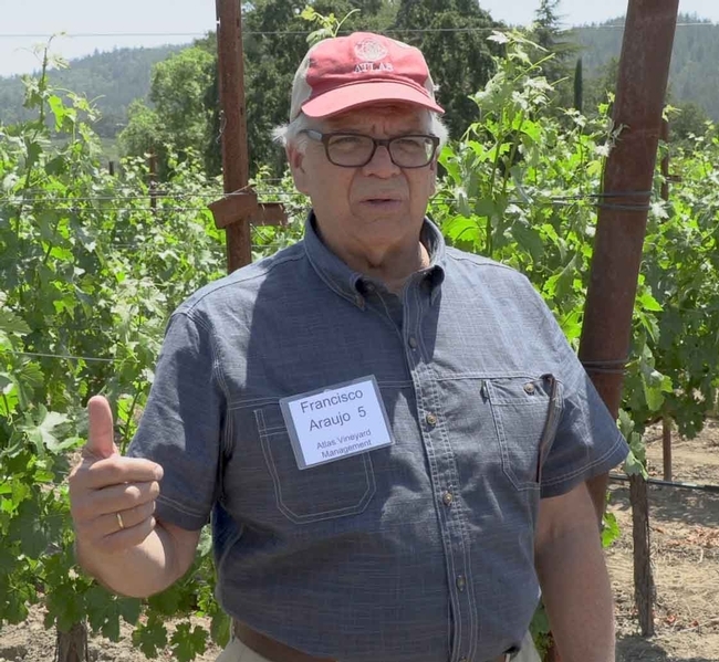 El asesor en viticultura Francisco Araujo señaló que la industria vitivinícola depende de las investigaciones de UC “Si encontramos formas de obtener una calidad máxima junto a niveles de producción eso pagará por el incremento en los costos de producción, es la única manera que podemos ser sustentables ahora y en el futuro”.