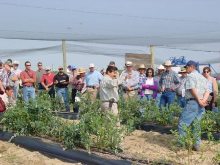 Manual Jimenez talks blueberries at the UC Kearney Agricultural Research and Extension Center last fall.