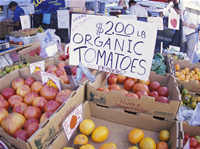 Some organic tomatoes contain more flavonoids.