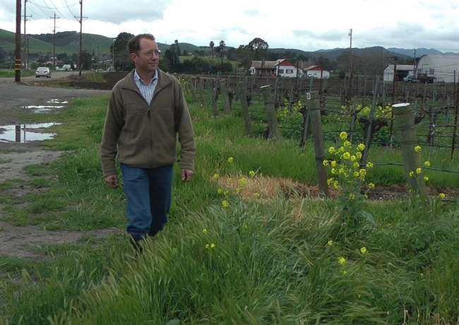 Mark Battany at a San Luis Obispo County vineyard.