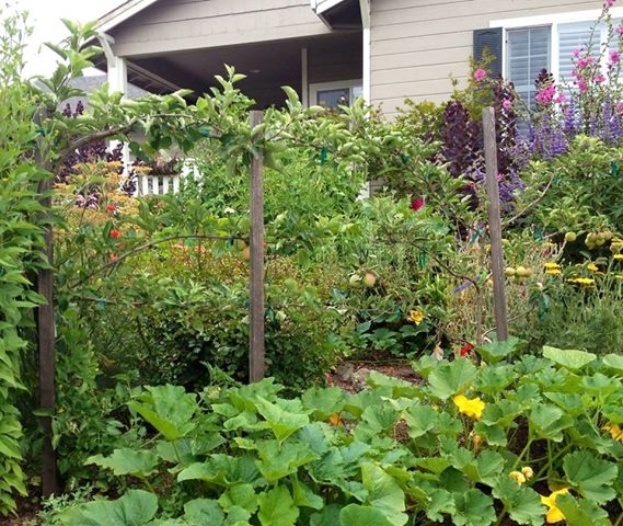 Hardworking backyard gardens can produce enough food to sell at a farmers market.