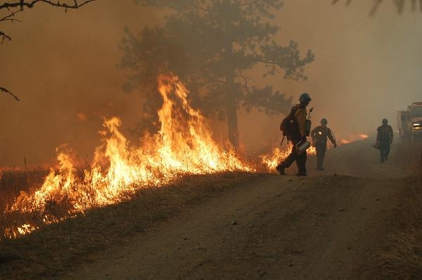 The Rim Fire near Yosemite may be a foretaste of major fires to come. (Photo: U.S. Forest Service.)