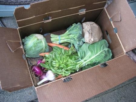 A typical selection of vegetables in a weekly CSA box.