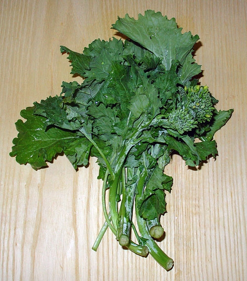 Broccoli raab, also called rapini, is a speciality vegetable more bitter than broccoli. (Photo: Wikimedia Commons)