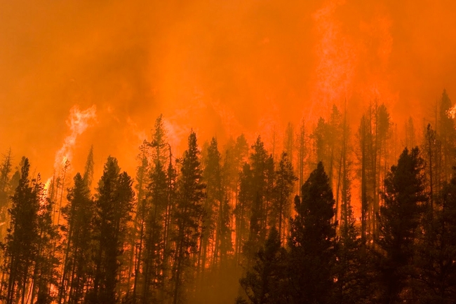 New research says the West needs coexist, adapt and identify vulnerabilities to better deal with wildfire.