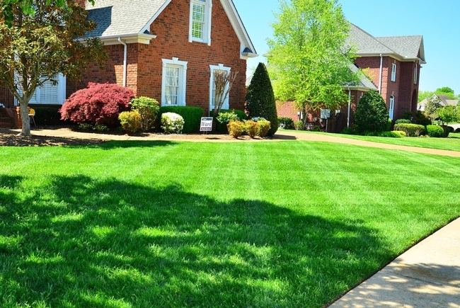 Removal of lush green lawns will require adjustment for the lawn care industry.