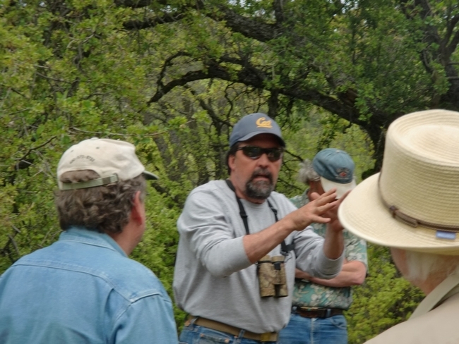Greg Giusti is a UC ANR forest and wildland ecology expert.