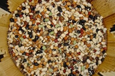 Cowpeas and other legumes.