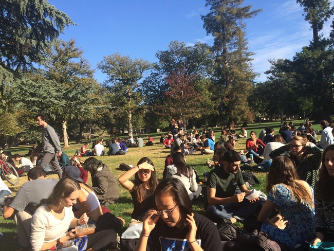 Students eat lunch on the West Quad at UC Berkeley. (Photo: SERC at UCB)