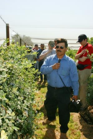 Manuel Jimenez at a previous blueberry field day.
