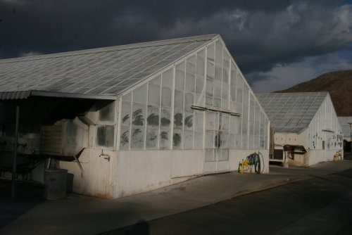 Greenhouses for ag research at UC Riverside.