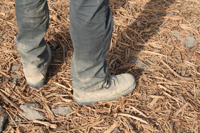 Boots on the ground where a former almond orchard stood. The shredded trees and branches will be incorporated into the soil to build soil organic matter.